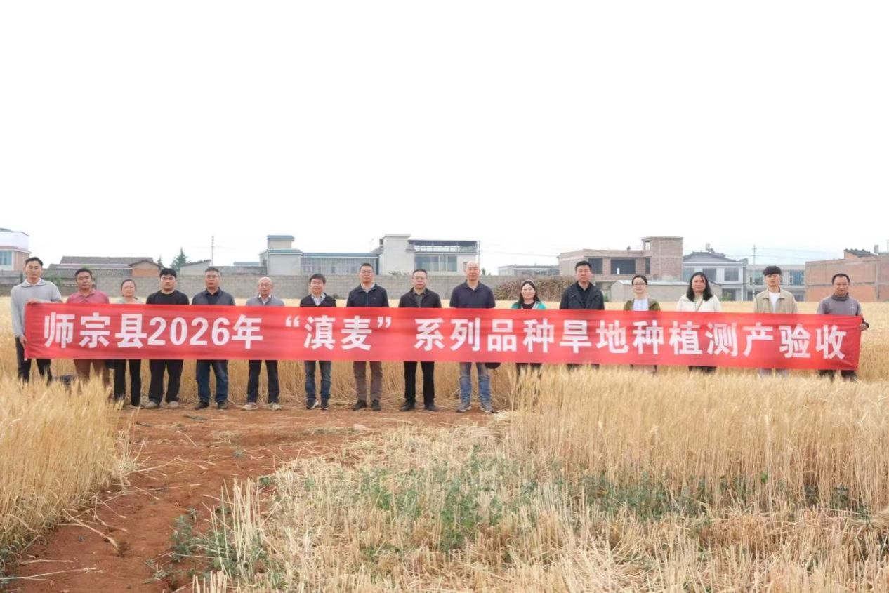 a80c5e03f9ff75061a48cc818bb28695